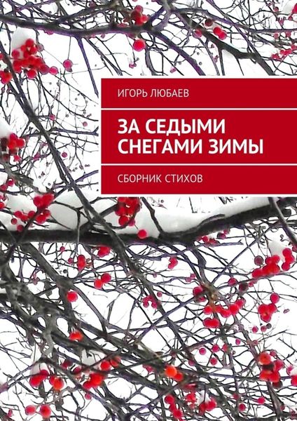 Обложка книги  «За седыми снегами зимы. Сборник стихов»