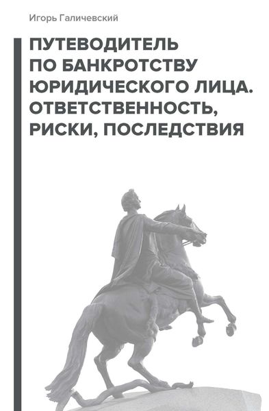 Обложка книги  «Путеводитель по банкротству юридического лица. Ответственность, риски, последствия»