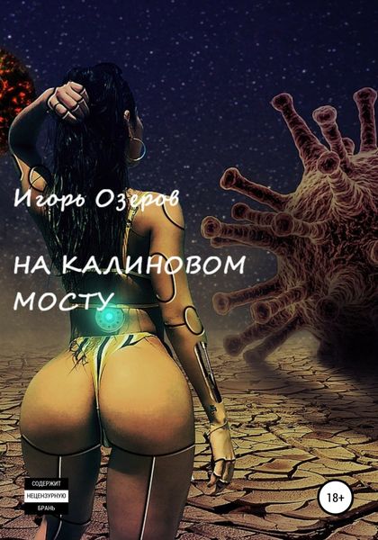 Обложка книги «На Калиновом мосту»