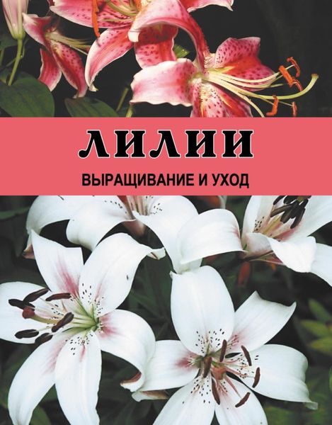 Обложка книги  «Лилии. Выращивание и уход»