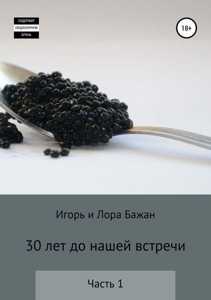 Обложка книги «30 лет до нашей встречи»