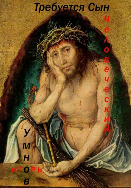 Обложка книги «Требуется Сын Человеческий»