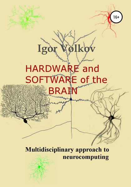 Обложка книги  «Hardware and software of the brain»