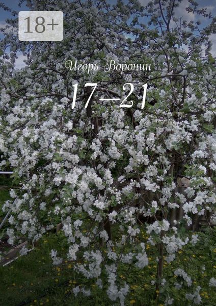 Обложка книги  «17—21»