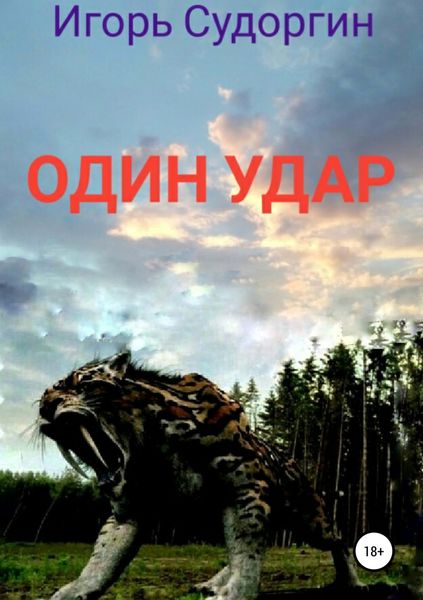Обложка книги «Один удар»