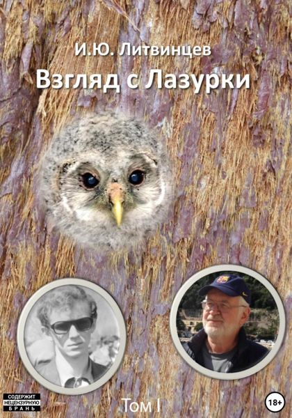 Обложка книги «Взгляд с Лазурки. Том 1»