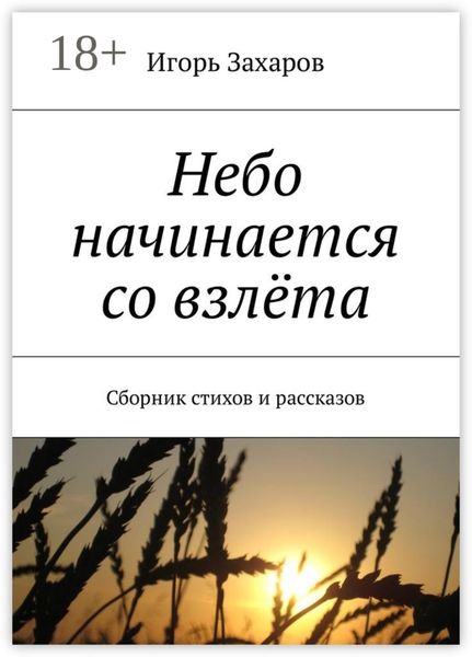 Обложка книги  «Небо начинается со взлёта. Сборник стихов и рассказов»