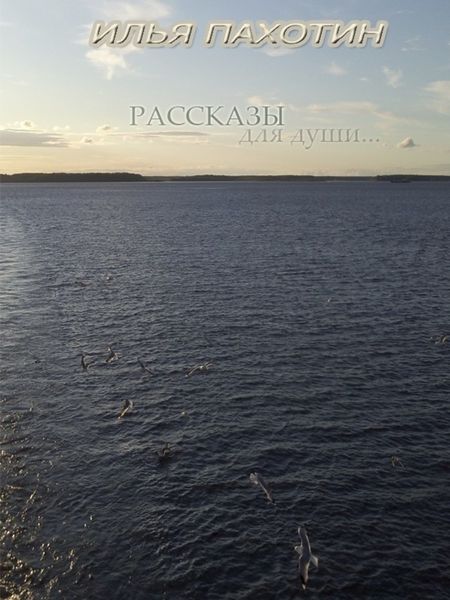 Обложка книги  «Рассказы для души…»