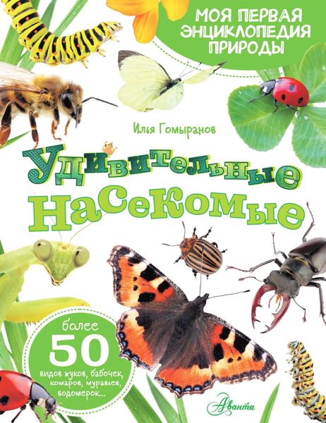Обложка книги «Удивительные насекомые»