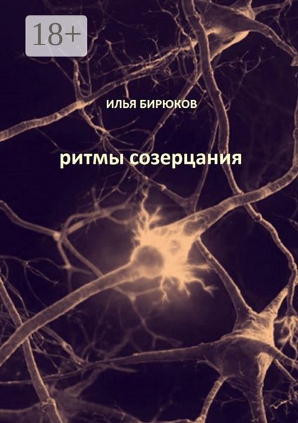 Обложка книги «Ритмы созерцания»