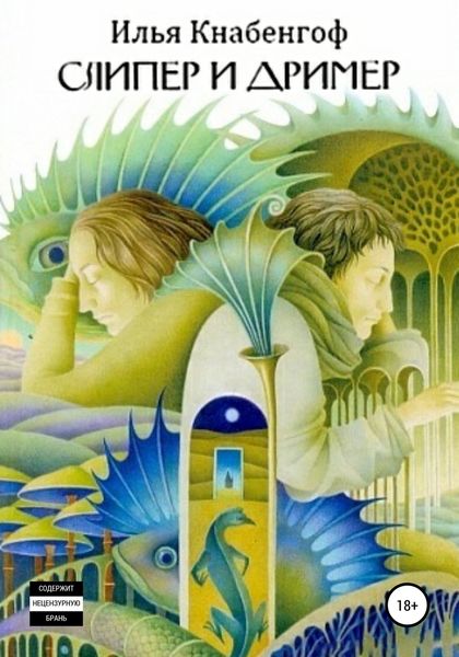 Обложка книги «Слипер и Дример»