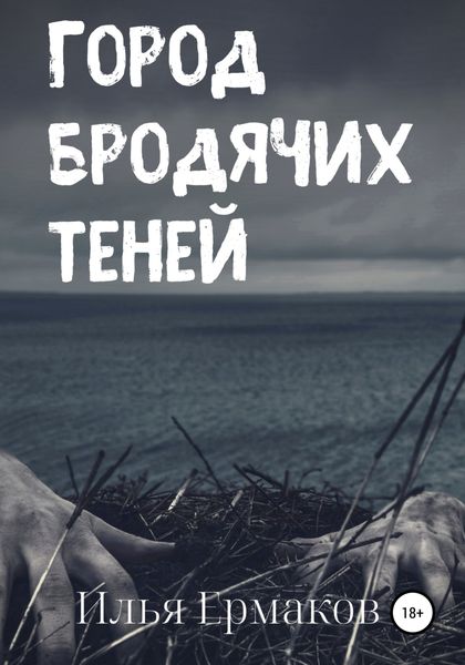 Обложка книги  «Город бродячих теней»