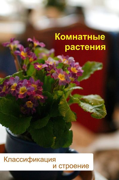 Обложка книги  «Комнатные растения. Классификация и строение»