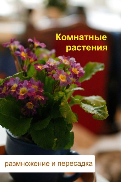 Обложка книги  «Комнатные растения. Размножение и пересадка»