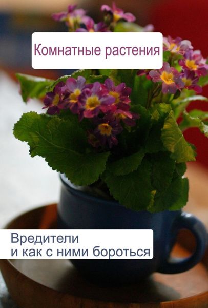 Обложка книги  «Комнатные растения. Вредители и как с ними бороться»