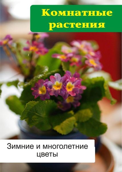Обложка книги  «Комнатные растения. Зимние и многолетние цветы»