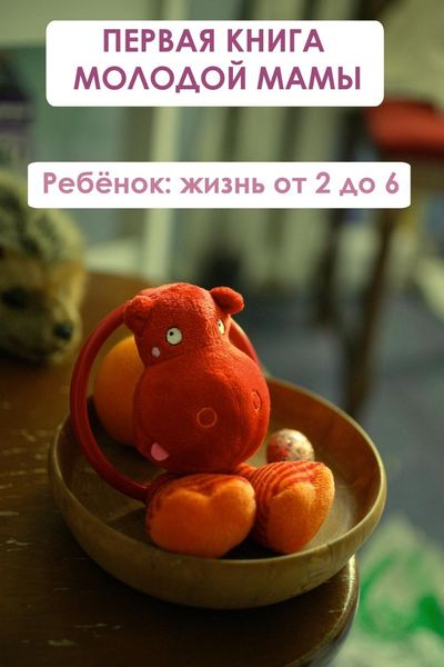 Обложка книги  «Ребёнок: жизнь от двух до 6»