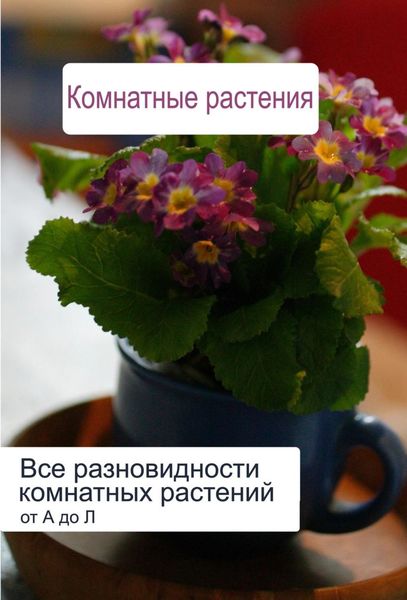 Обложка книги  «Все разновидности комнатных растений (от А до Л)»
