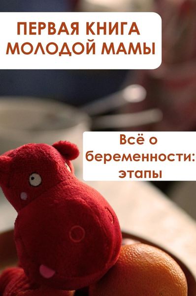 Обложка книги  «Всё о беременности: этапы»