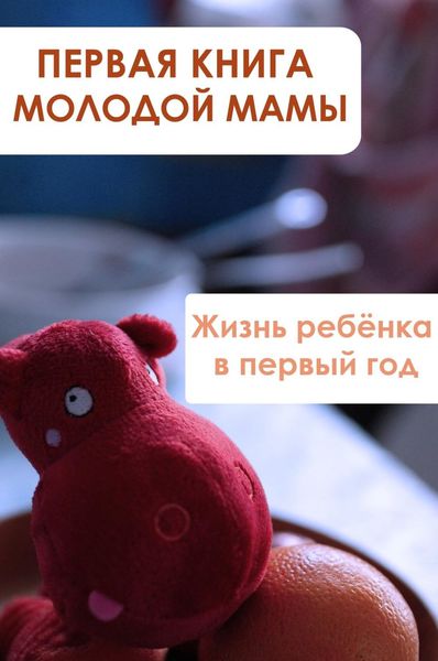Обложка книги  «Жизнь ребёнка в первый год»