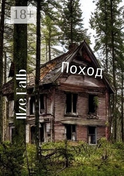 Обложка книги  «Поход»