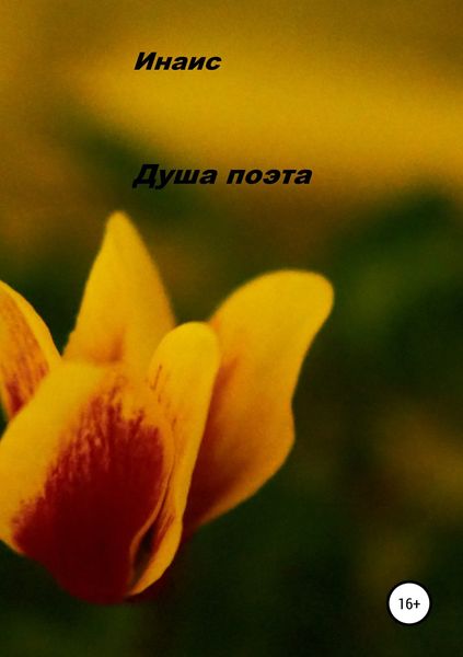 Обложка книги  «Душа поэта»