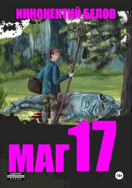 Обложка книги  «Маг 17»
