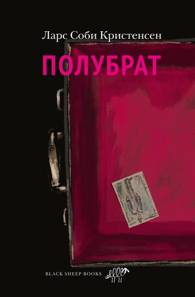 Обложка книги  «Полубрат»