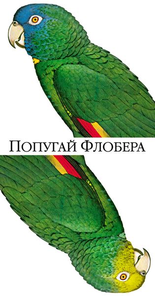 Обложка книги  «Попугай Флобера»