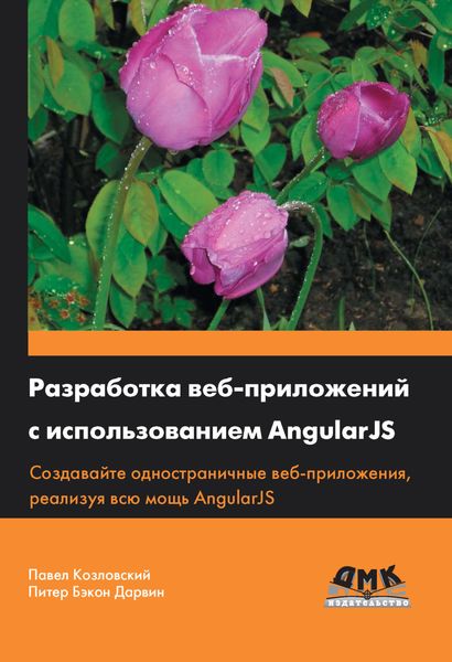 Обложка книги  «Разработка веб-приложений с использованием AngularJS»
