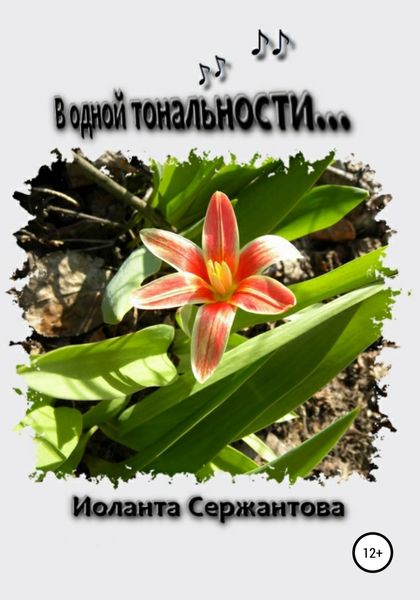 Обложка книги  «В одной тональности…»