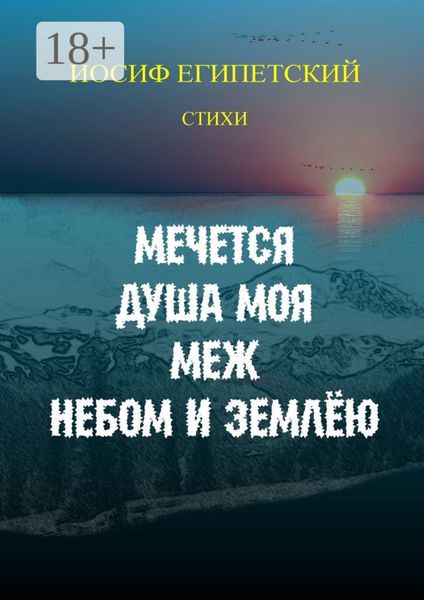 Обложка книги  «Мечется душа моя меж небом и землёю»
