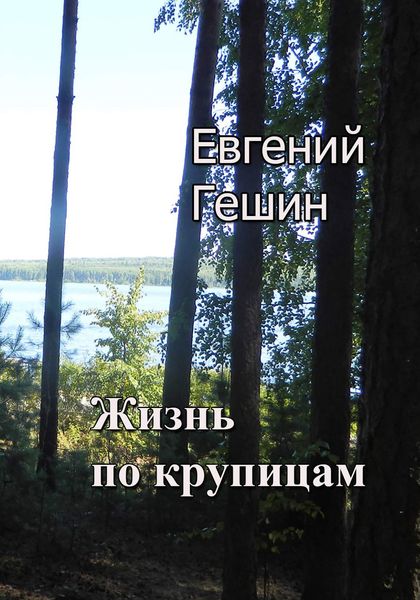 Обложка книги  «Жизнь по крупицам»