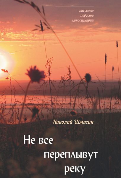 Обложка книги  «Не все переплывут реку»