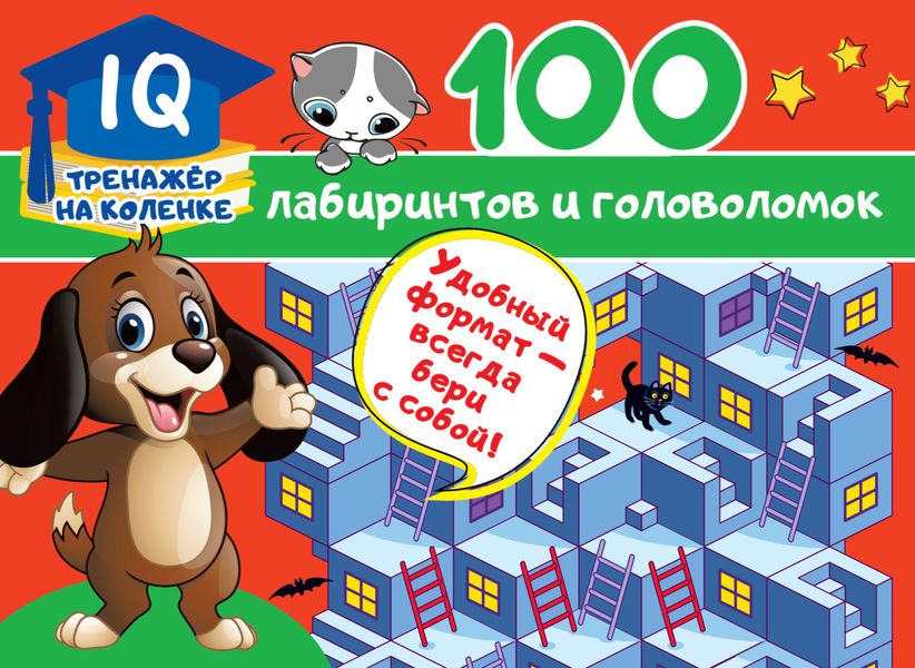 Обложка книги  «100 лабиринтов и головоломок»