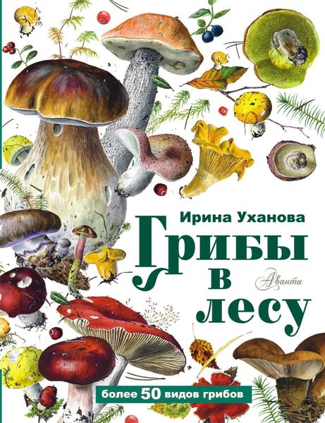 Обложка книги  «Грибы в лесу»