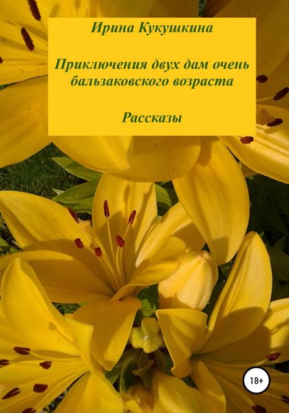 Обложка книги  «Приключения двух дам очень бальзаковского возраста. Рассказы»