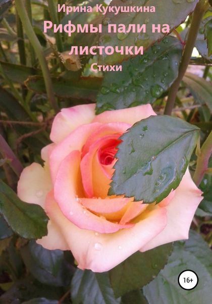Обложка книги  «Рифмы пали на листочки»