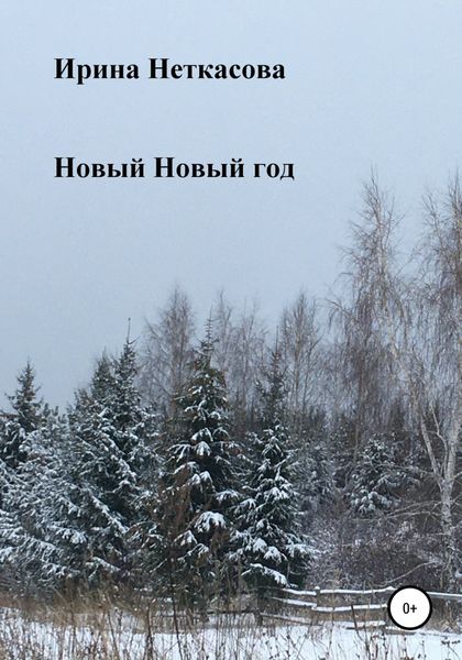 Обложка книги  «Новый Новый год»