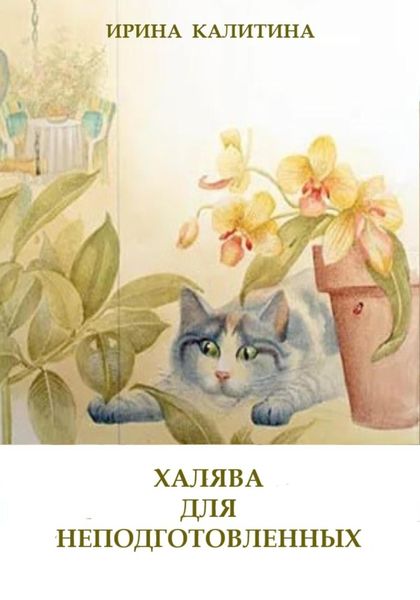 Обложка книги  «Халява для неподготовленных»