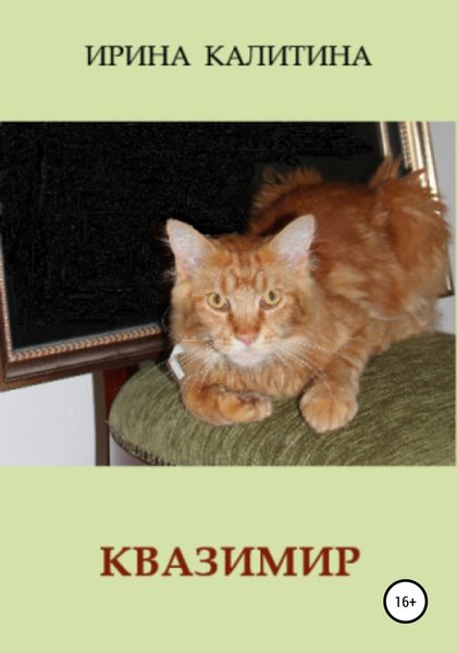 Обложка книги  «Квазимир»