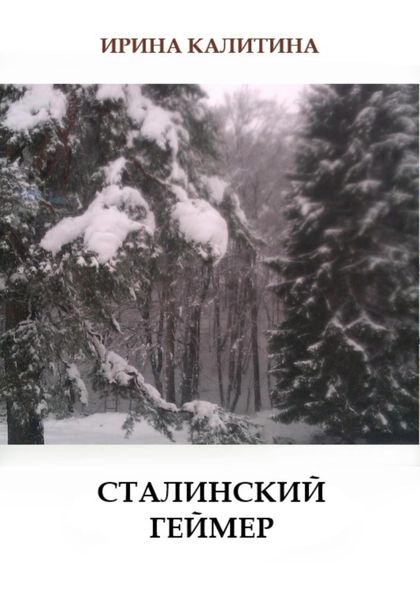 Обложка книги  «Сталинский геймер»