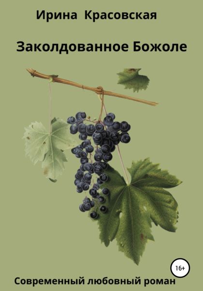 Обложка книги  «Заколдованное Божоле»
