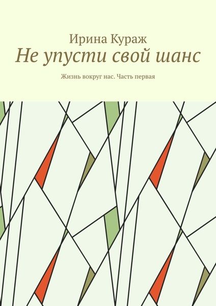Обложка книги  «Не упусти свой шанс. Жизнь вокруг нас. Часть первая»