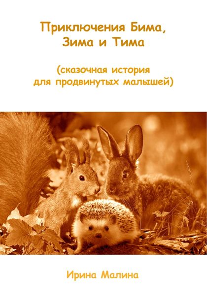 Обложка книги «Приключения Бима, Зима и Тима. Сказочная история для продвинутых малышей»