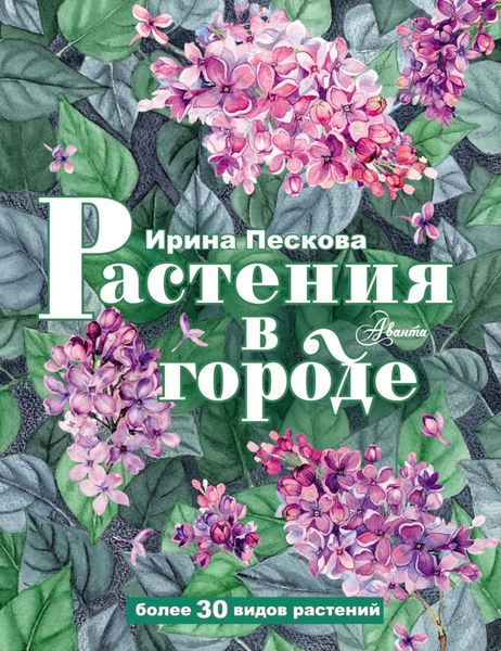 Обложка книги  «Растения в городе»