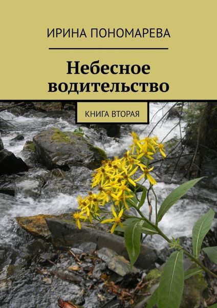 Обложка книги  «Небесное водительство. Книга вторая»
