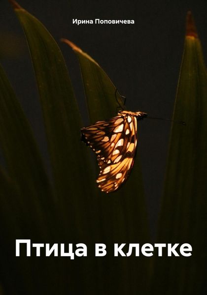 Обложка книги «Птица в клетке»