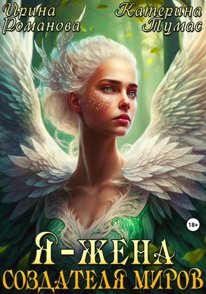 Обложка книги  «Я – жена создателя миров»