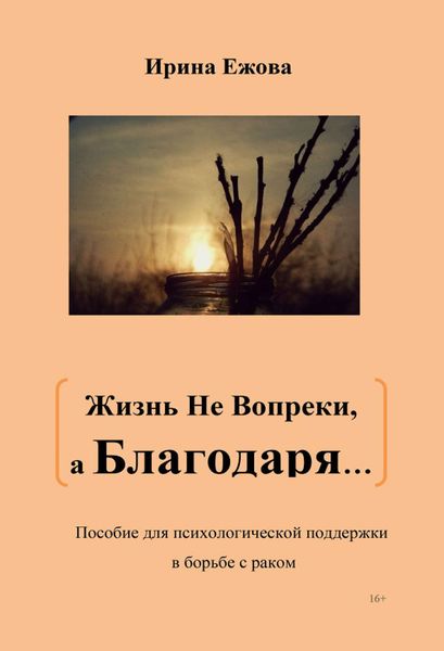 Обложка книги «Жизнь не Вопреки, а Благодаря…»